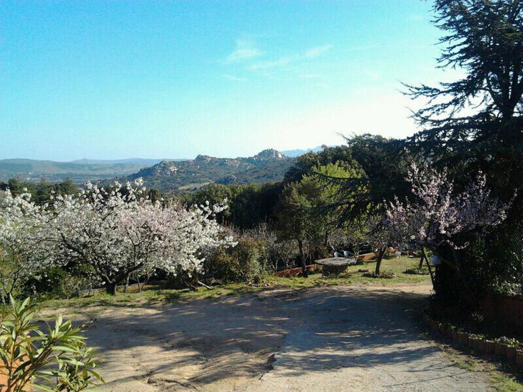 B&B La Tasgia Aggius Екстериор снимка