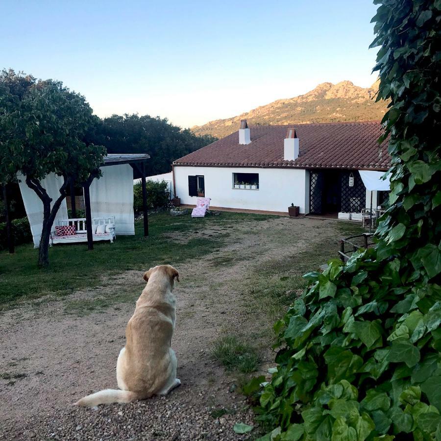 B&B La Tasgia Aggius Екстериор снимка
