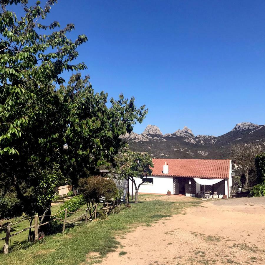 B&B La Tasgia Aggius Екстериор снимка